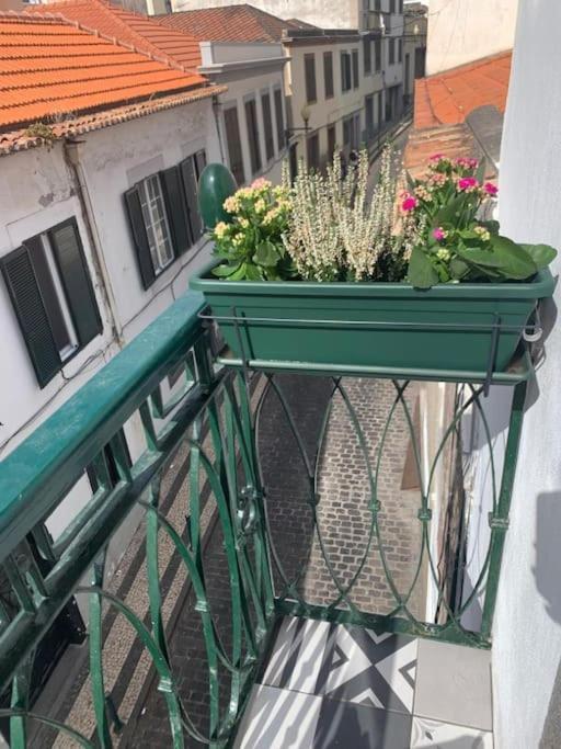 Primavera: Centre, Modern W/balcony Funchal (Madeira)